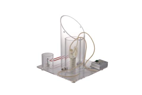 深部無張力結(jié)訓(xùn)練模型 深部無張力結(jié)訓(xùn)練模型